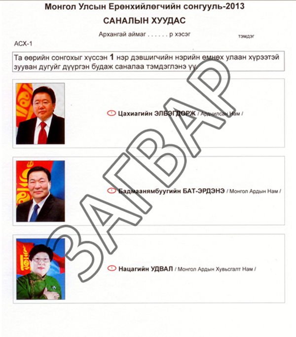 President election 2013 election page