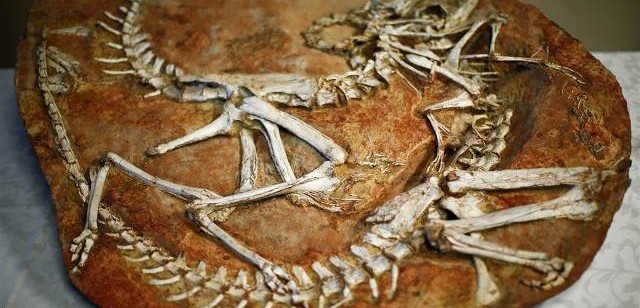 ҮЛЭГ ГҮРВЭЛИЙН ОЛДВОРУУДЫГ ХҮЛЭЭЛГЭН ӨГӨХ ЁСЛОЛ БОЛОВ