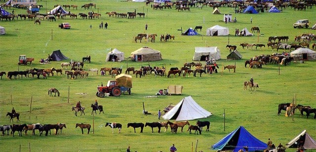 НААДМЫН МЭНДЧИЛГЭЭ